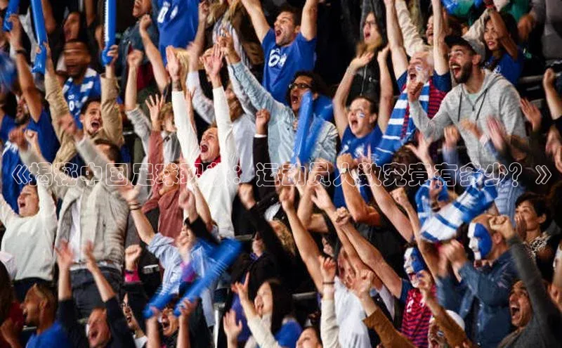 tqb谈球吧汉得信息《揭秘中国足球现状：运动员人数究竟有多少？》