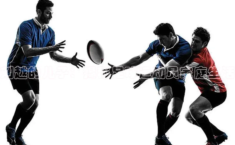 谈球吧体育app下载官网宣亚国际刘越的儿子：揭秘足球运动员家庭生活