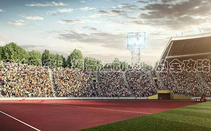 谈球吧.(china)官方网站极氪智能科技竞技盛宴：筹备运动赛事的全攻略