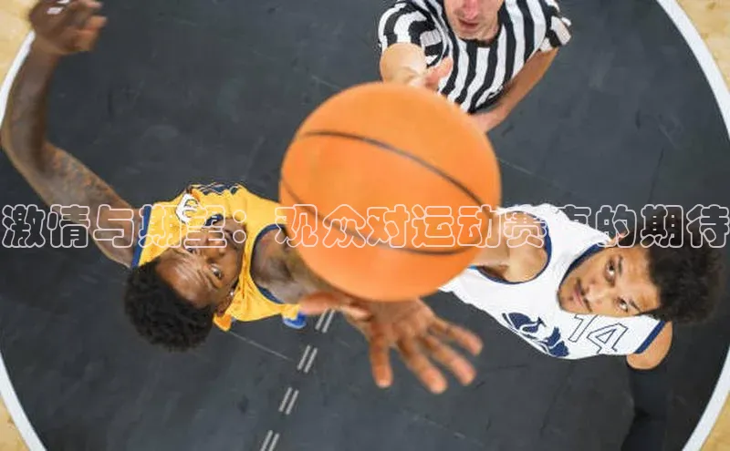 激情与期望：观众对运动赛事的期待