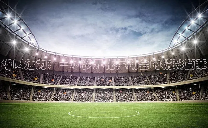华园活力：一场多元化运动会的精彩篇章