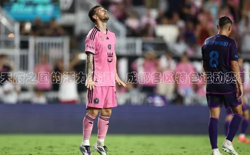 天府之国的活力赛道：成都各区特色运动赛事