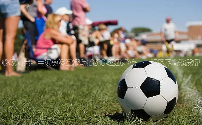 赛场风云：一场充满激情与挑战的运动盛宴——解说配音稿赏析