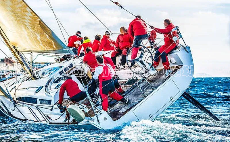 动感未来：儿童运动会精彩活动策划与体验