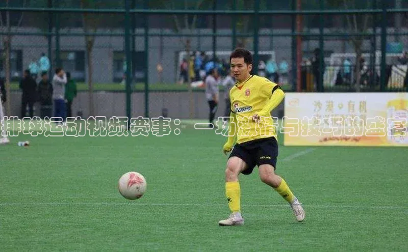 排球运动视频赛事：一场激情与技巧的盛宴