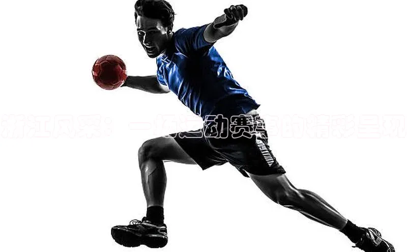 浙江风采：一场运动赛事的精彩呈现