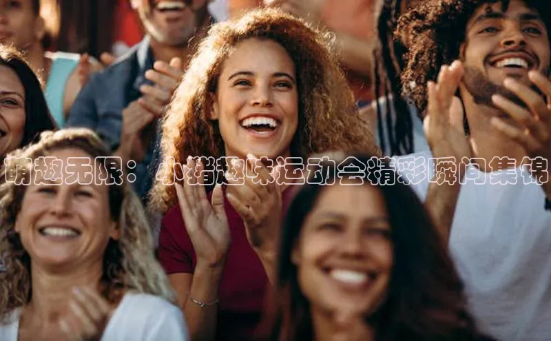 萌趣无限：小猪趣味运动会精彩瞬间集锦