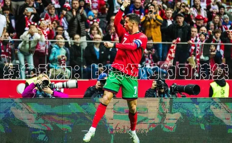 绿色动力：比赛场地的可持续