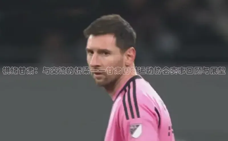 棋缘甘肃：与交流的桥梁——甘肃围棋运动协会赛事回顾与展望