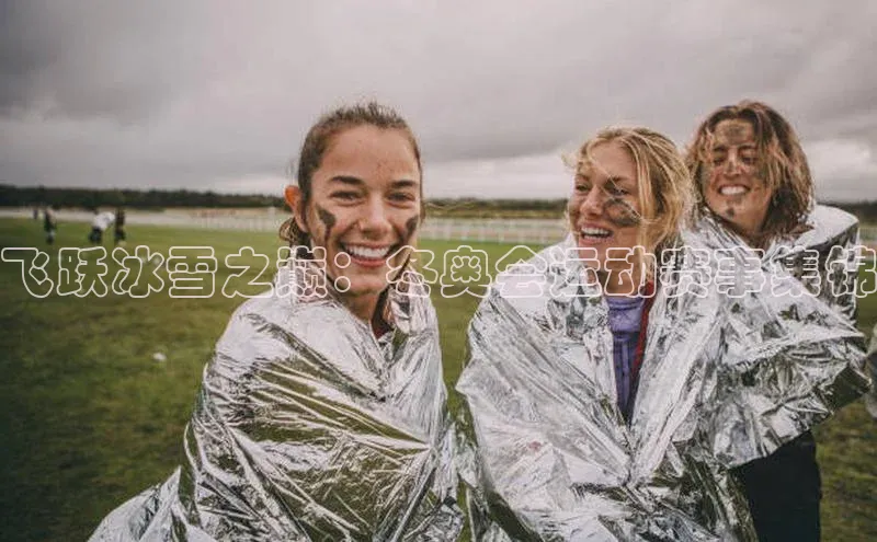 飞跃冰雪之巅：冬奥会运动赛事集锦