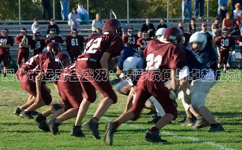 绥化市运动会盛况：精彩瞬间与卓越成就