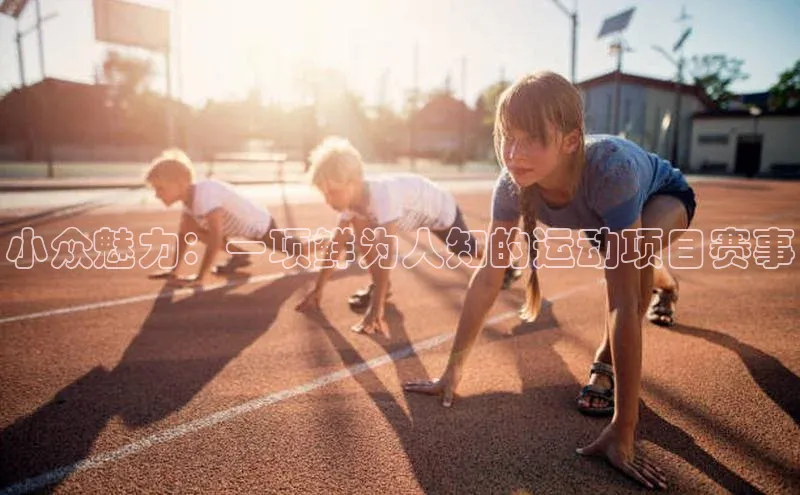 小众魅力：一项鲜为人知的运动项目赛事