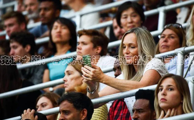 竞速之巅：各大汽车运动赛事的魅力与挑战