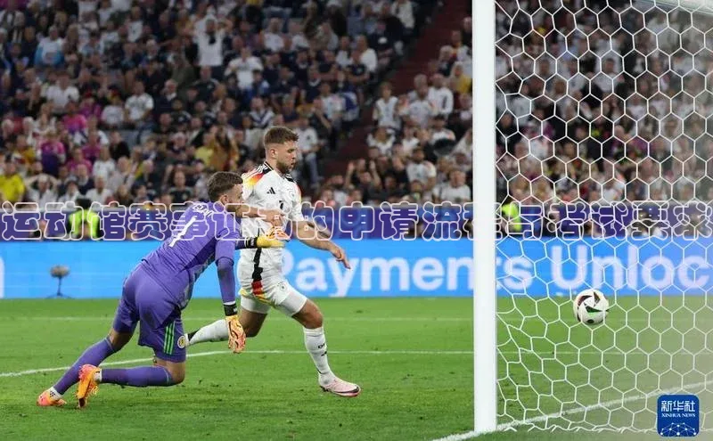 运动馆赛事证书的申请流程与考试要求