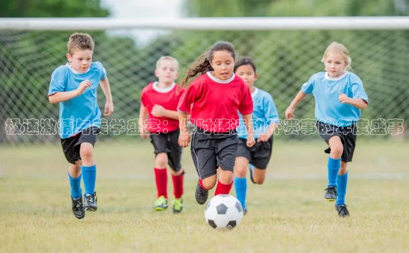 极速激情与美学盛宴：保时捷运动杯赛事的年度盛事