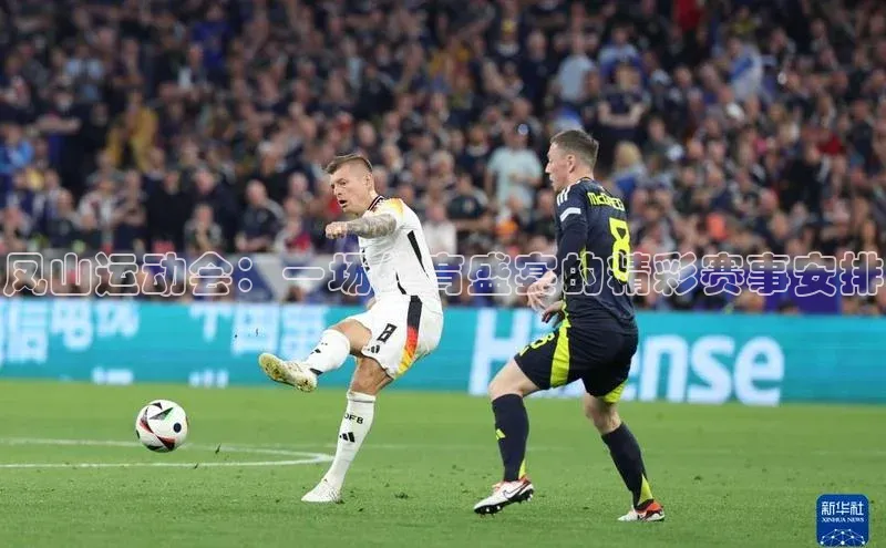 凤山运动会：一场体育盛宴的精彩赛事安排