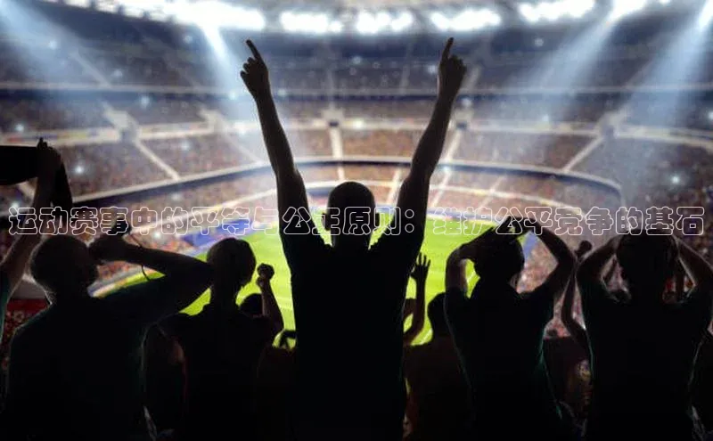 运动赛事中的平等与公正原则：维护公平竞争的基石