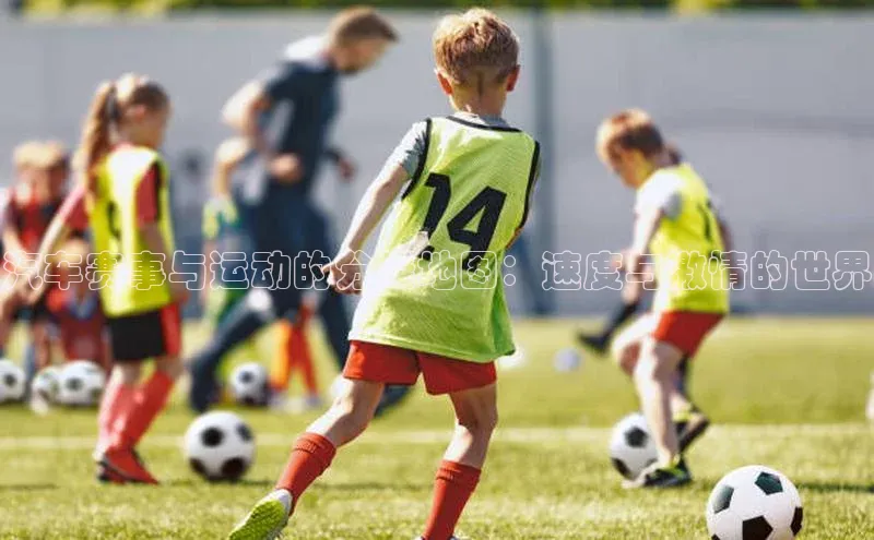 汽车赛事与运动的分类地图：速度与激情的世界