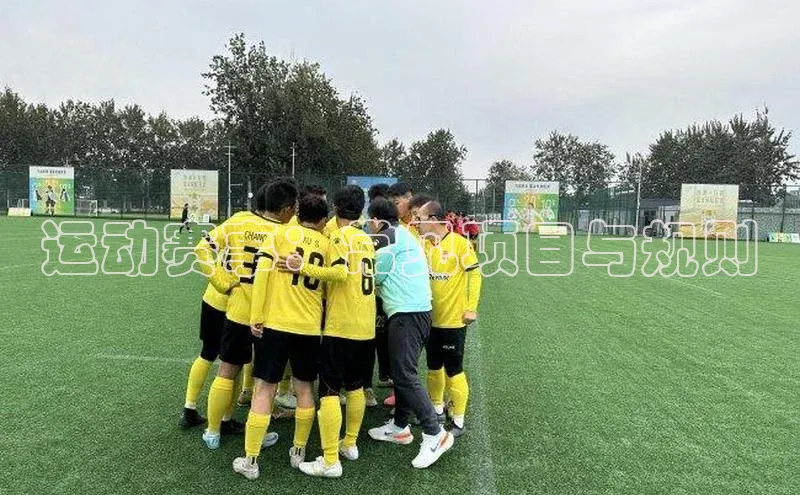 谈球吧体育官网入口